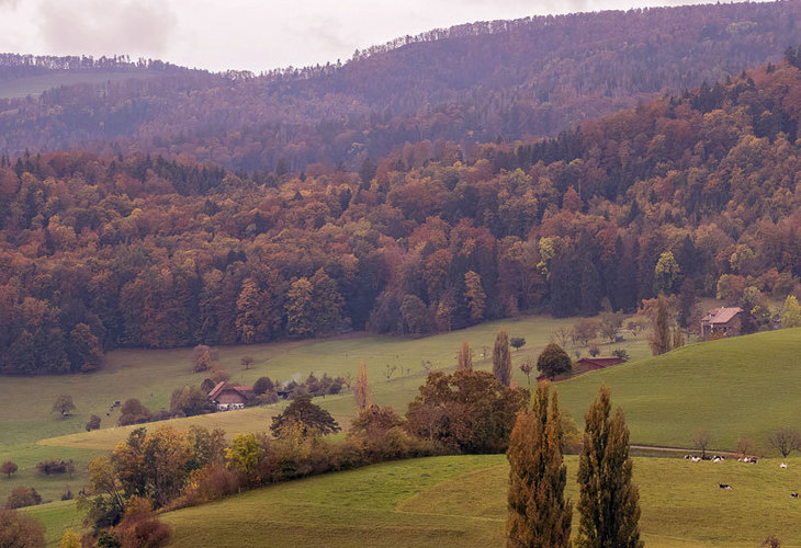 Escape to the Cotswolds